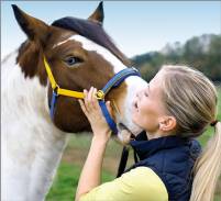 Gutschein Tierphysiotherapie für Pferde - Katahrina Prost